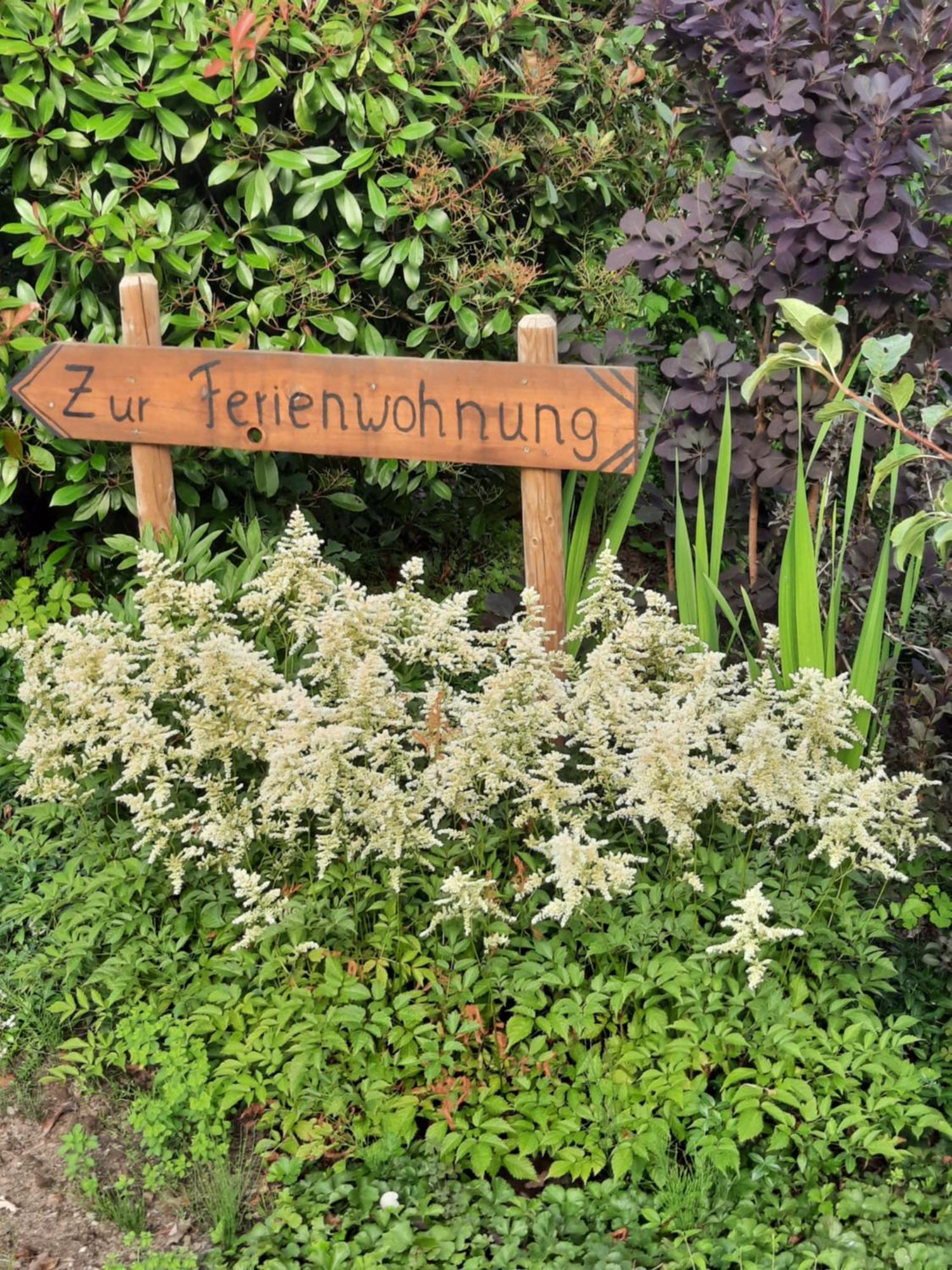 Ferienwohnung Van Den Berg Rees Kültér fotó